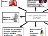 Школа пациентов с ВМД