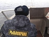 Запрет на рыбную ловлю в Ярославской области