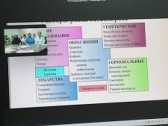 Просветительская онлайн-лекция в геронтологическом центре в Ярославле