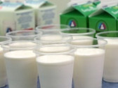 Рекомендации Роспотребнадзора о продуктах с заменителем молочного жира
