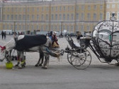 Программа «Петербургское гостеприимство»