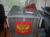 Позвонил, проконсультировался и пришел на выборы