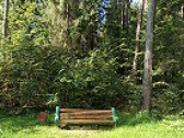 Память о героях: Иван Папанин, легендарный исследователь Арктики и советский управленец