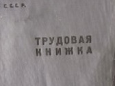 Финансирование программ занятости 11 регионов