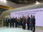 Картинки с выставки «Золотая осень-2017»