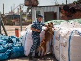Служба кинологов Севастопольской таможни