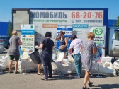 Акция «Зеленая система» в Ярославле: экологические проблемы и поиск их решений